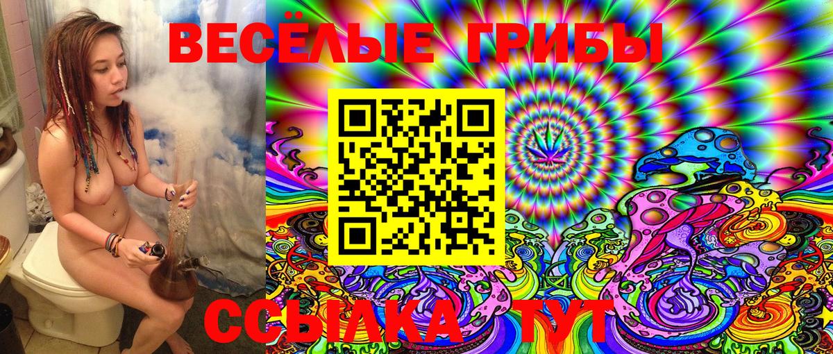 Рассказово  Псилоцибиновые грибы Magic Shrooms  Вход с VPN 